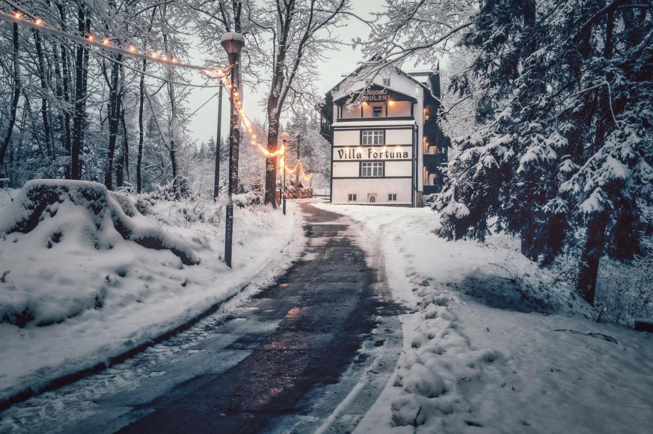Villa Fortuna Duszniki Zdrój Dış mekan fotoğraf